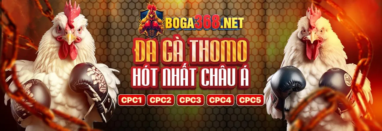 Đá gà trực tuyến hấp dẫn tại ht368 nhà cái